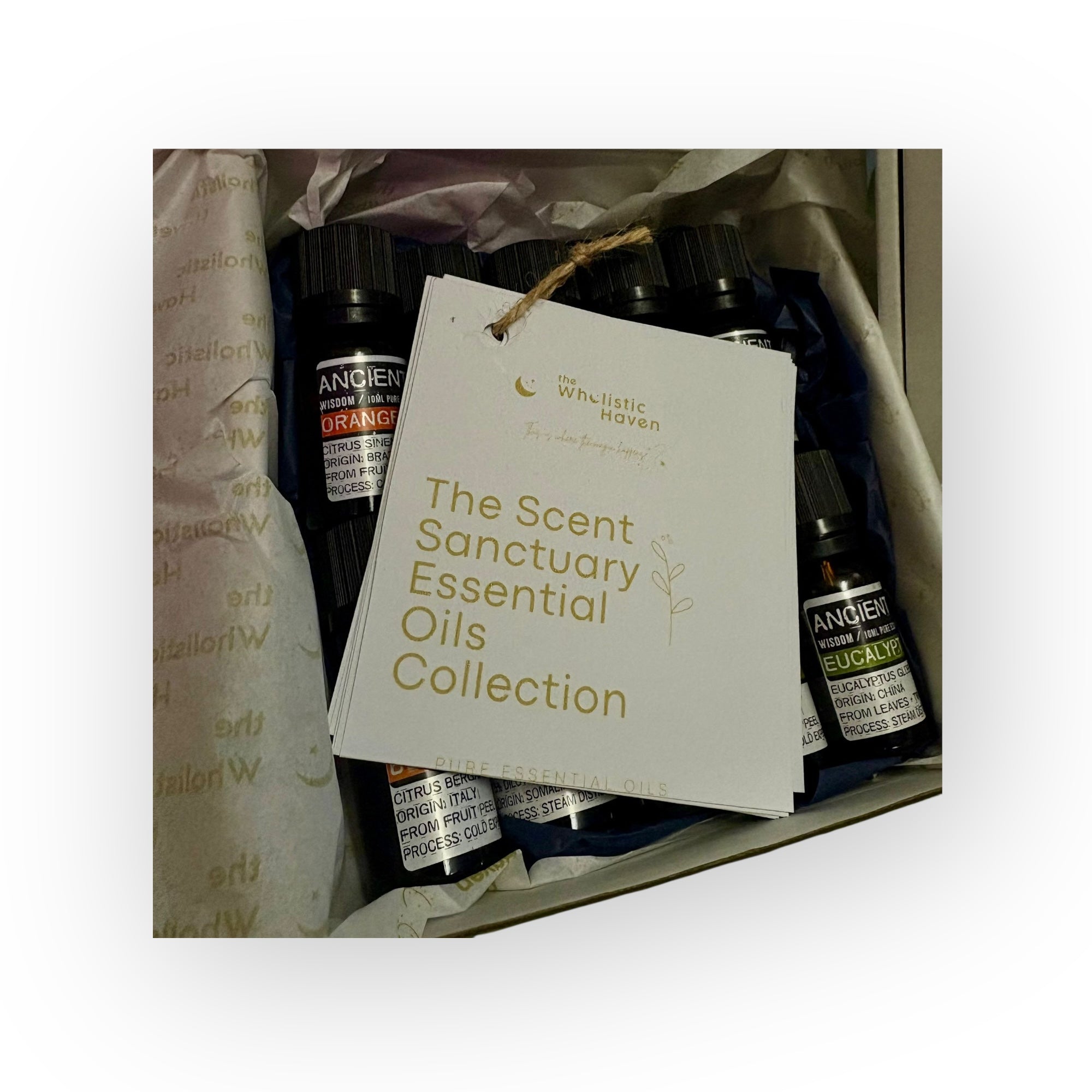 The Scent Sanctuary essential oil collection of 10 popular oils  - With how to step by step guide 