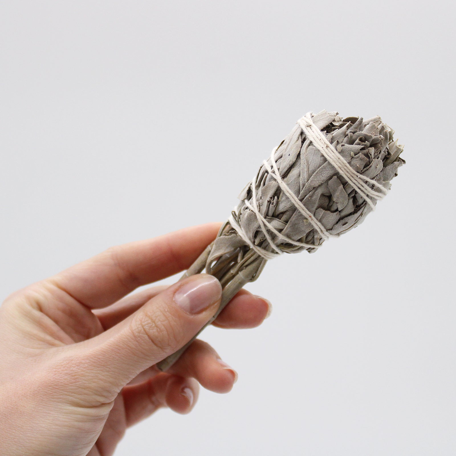 Smudge Stick – White Sage Torch (10cm)
