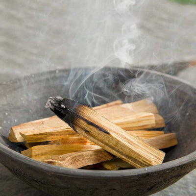 Palo santo sticks in a bowl with smoke rising against a neutral background