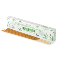 Box of incense sticks with wooden sticks on a white background